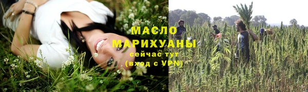 тгк Бородино
