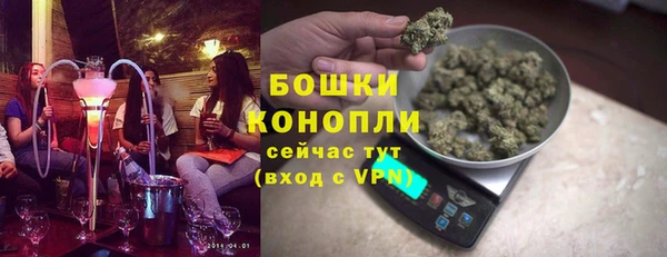 тгк Бородино