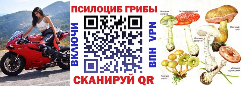 Псилоцибиновые грибы мицелий  наркошоп  кракен зеркало  Нижнекамск 